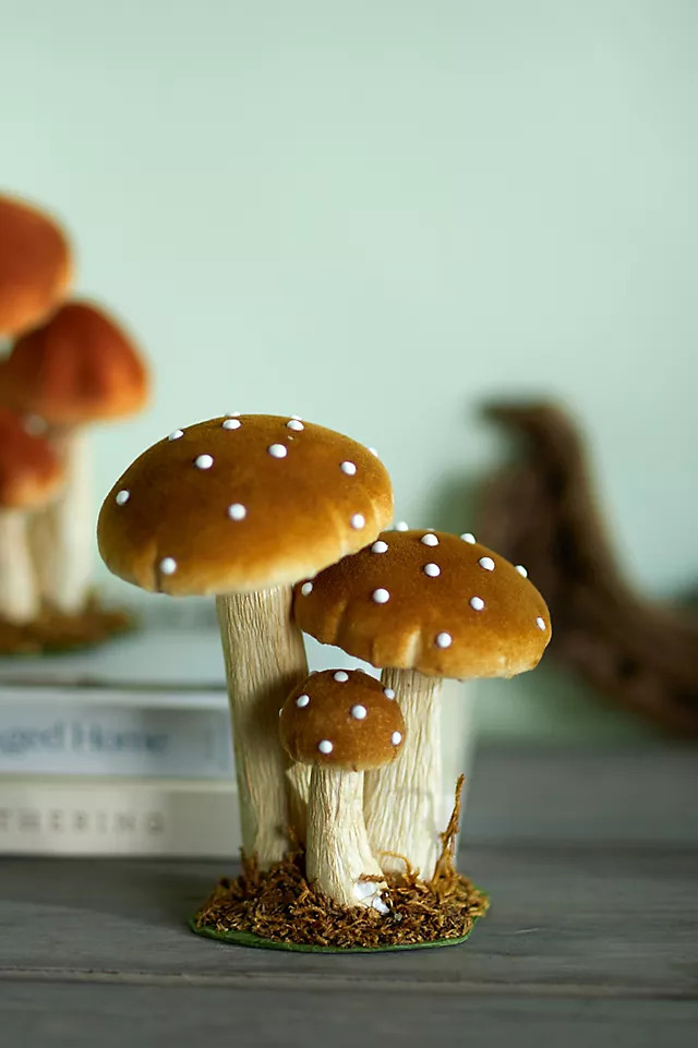 Velvet Mushroom Trio | Anthropologie (US)