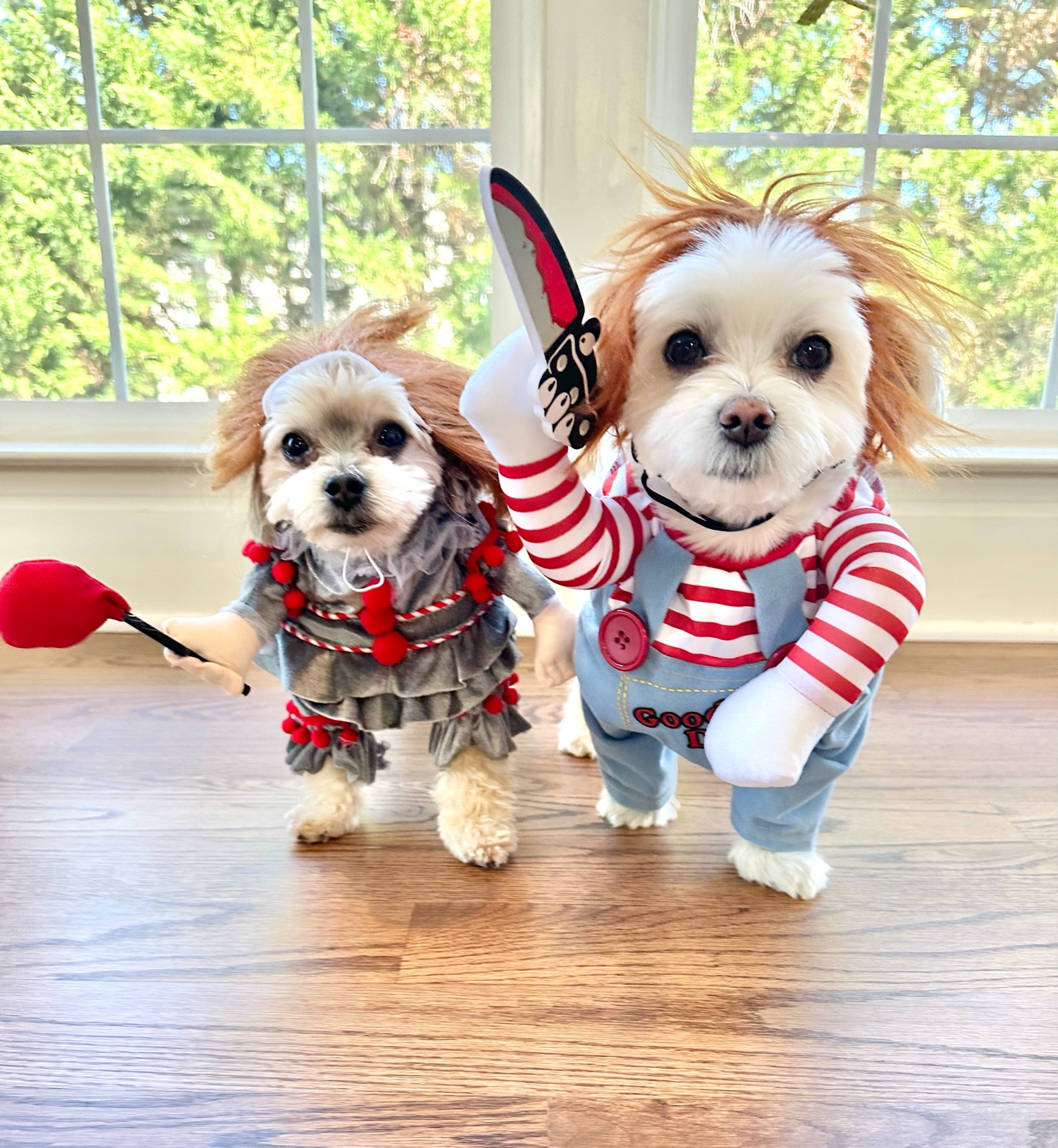 𝑨 𝑹𝒆𝒅-𝑯𝒂𝒊𝒓𝒆𝒅 𝑺𝒄𝒂𝒓𝒆!

#LTKSeasonal #LTKHalloween #LTKHoliday