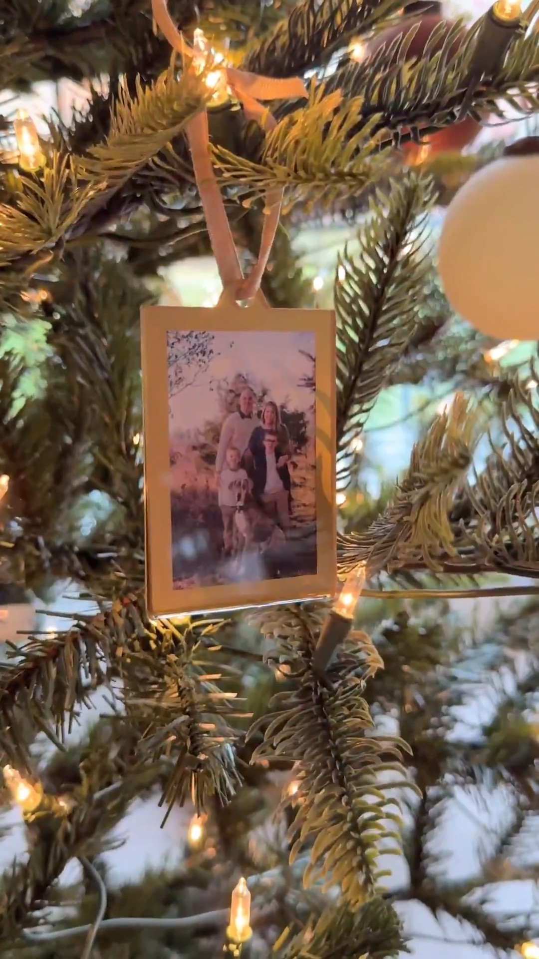 Love the frame ornaments to capture special holiday memories! 

#LTKWatchNow 


#LTKHoliday #LTKGiftGuide #LTKHome