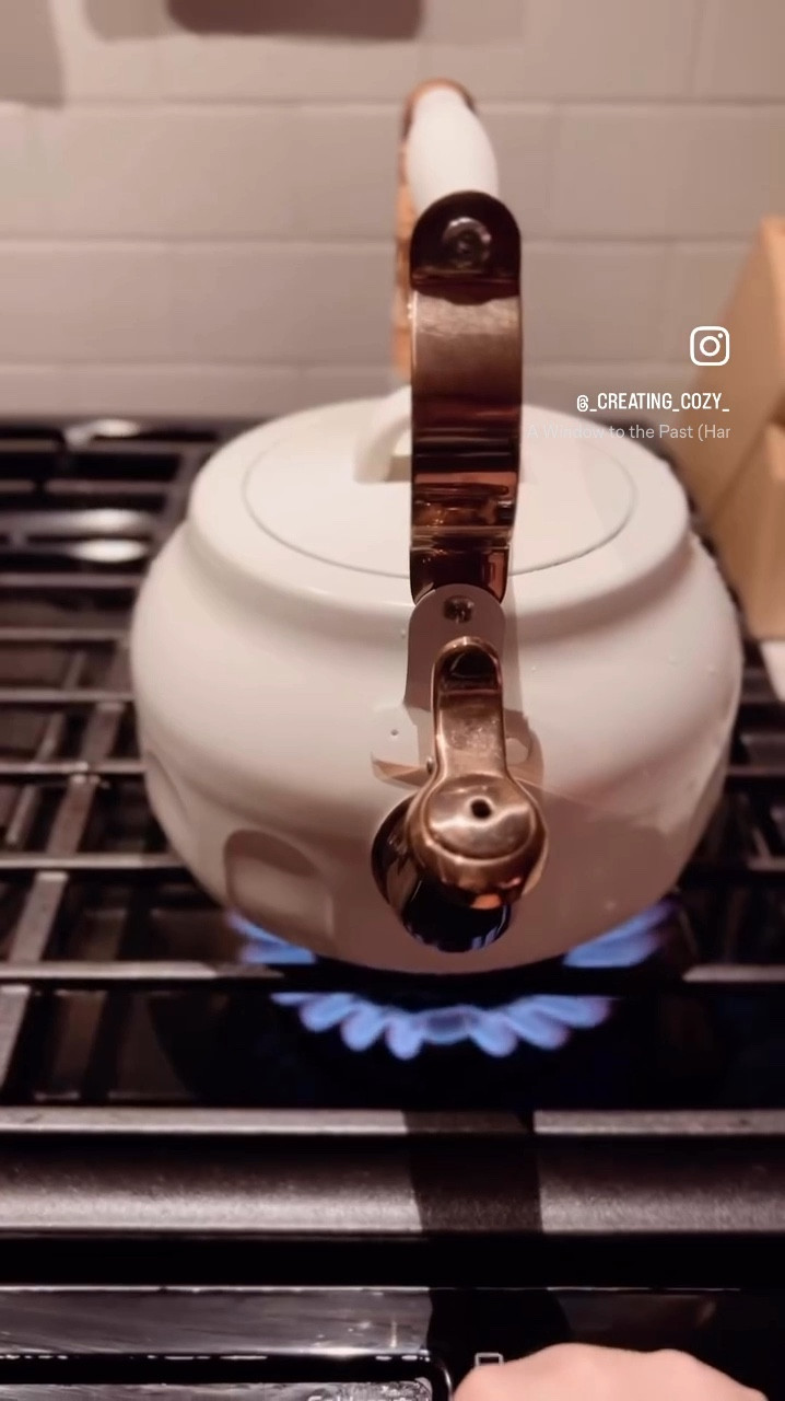 My fav cozy night in essentials 🤎☕️🕯️



#tea #teakettle #blanket #throw #livingroom #harrypotter #snack #snackcaddy #teacup #mug #mug #decor #fall #cozy 

#LTKFindsUnder50 #LTKHome