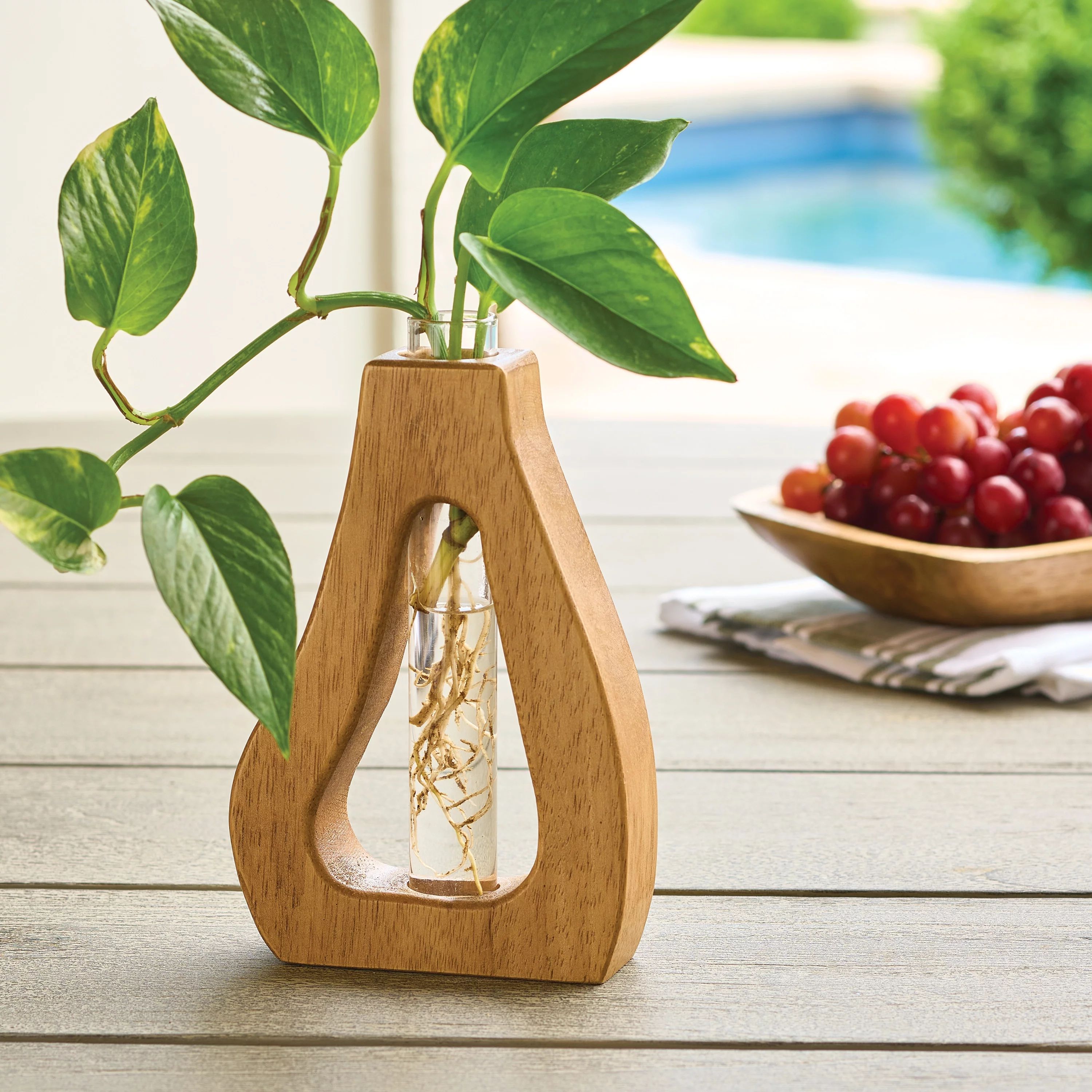 Better Homes & Gardens Wood and Glass Curved Propagation Station | Walmart (US)