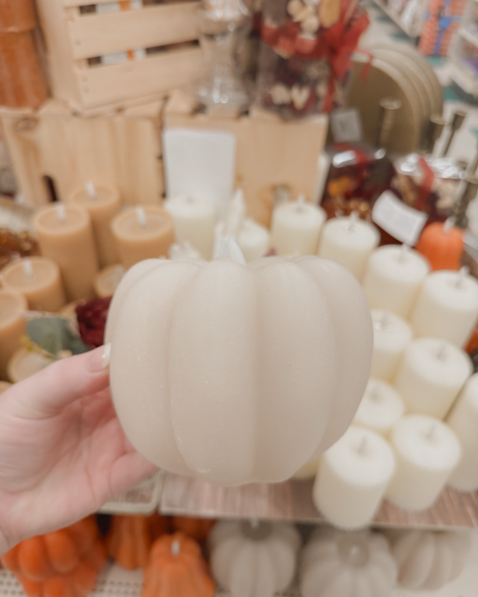 Neutral fall find 🤎🤍

#LTKSeasonal #LTKHome