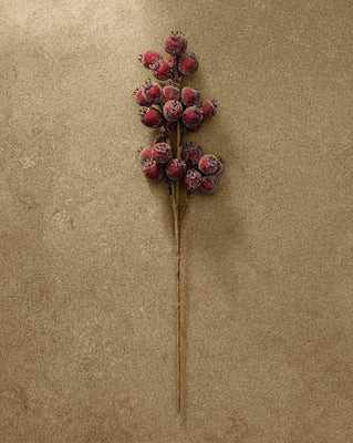 21" Iced Burgundy Berry Pod Spray | McGee & Co. (US)