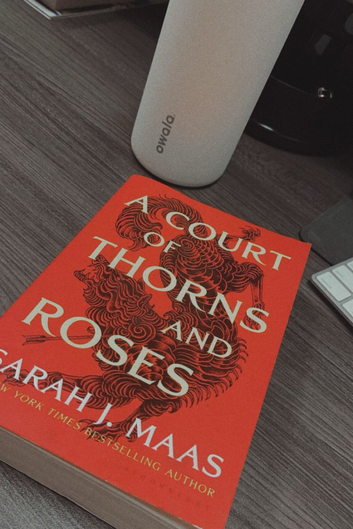 Currently reading this series 👀