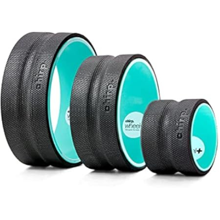 Zenith Yoga Co Yoga Wheel Set of 3 Yoga Wheel Set is Great for Back Pain Relief, Stretching and Assi | Amazon (US)