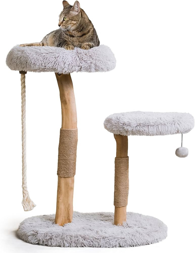 MAU Modern Cat Tower - Wooden Cat Scratching Tree & Condo - Luxury Collection - Cat Lovers Gift | Amazon (US)