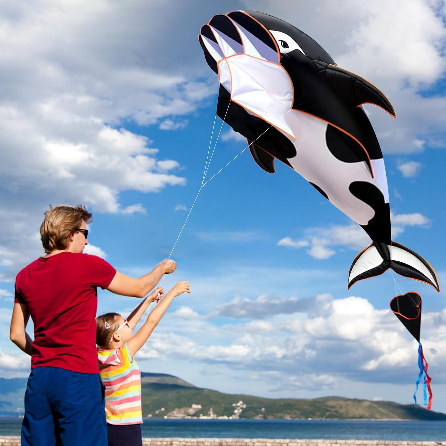HENGDA KITE 3D Kite for Kids and Adults,Easy to Fly,Excellent Fabric and Structure Design，Huge ... | Amazon (US)