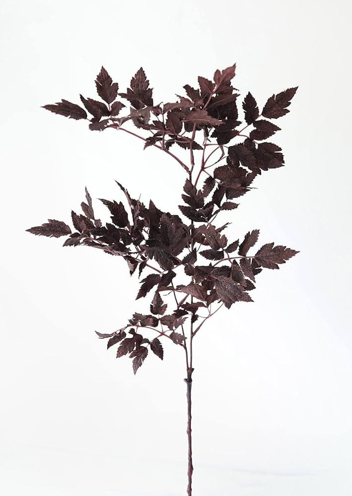Afloral Plum Fake Cimicifuga Ramosa Leaves - 31" | Amazon (US)