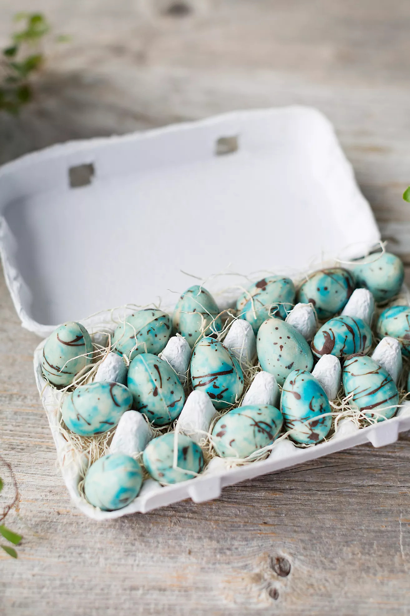 Chocolate Robin Eggs | Terrain