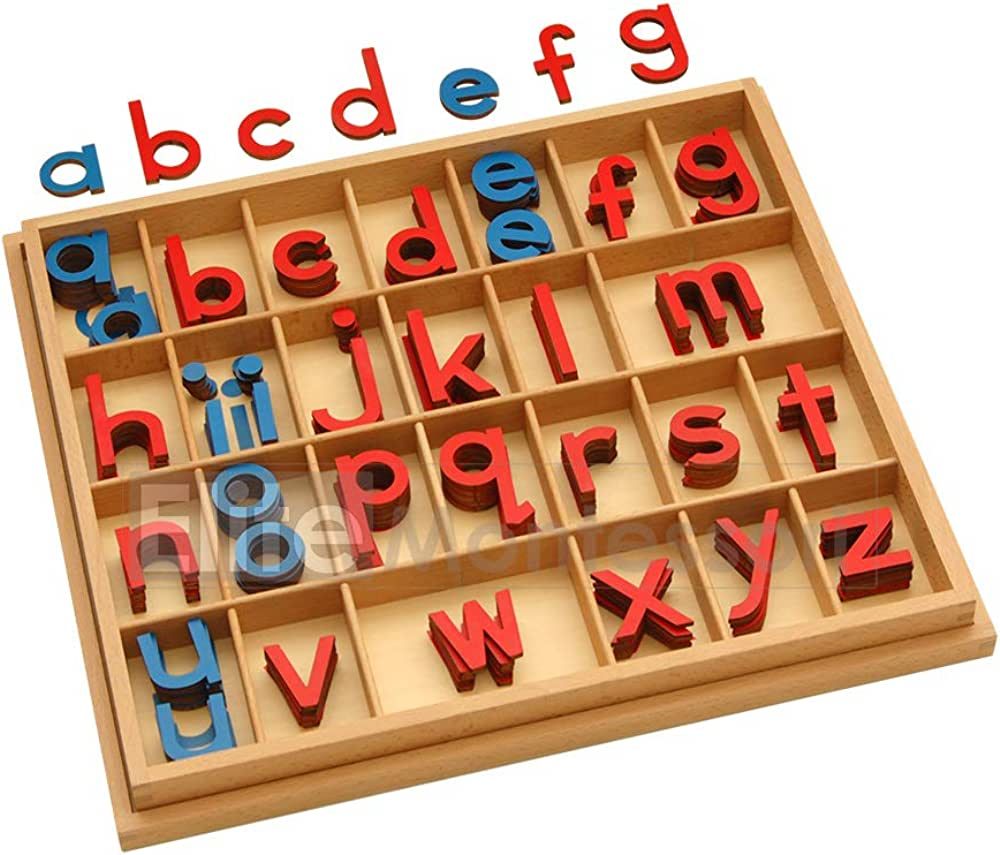 Elite Montessori Wooden Movable Alphabet with Box Preschool Spelling Learning Materials (Red & Bl... | Amazon (US)