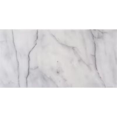 Satori Bianco Glacier 12-in x 24-in Polished Natural Stone Marble Floor and Wall Tile (2-sq. ft/ ... | Lowe's