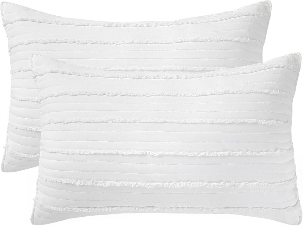 BOSOWOS Queen Size Pillow Shams Set of 2, Ultra Soft Breathable 20 x 30 Inches Pillow Case Envelo... | Amazon (US)