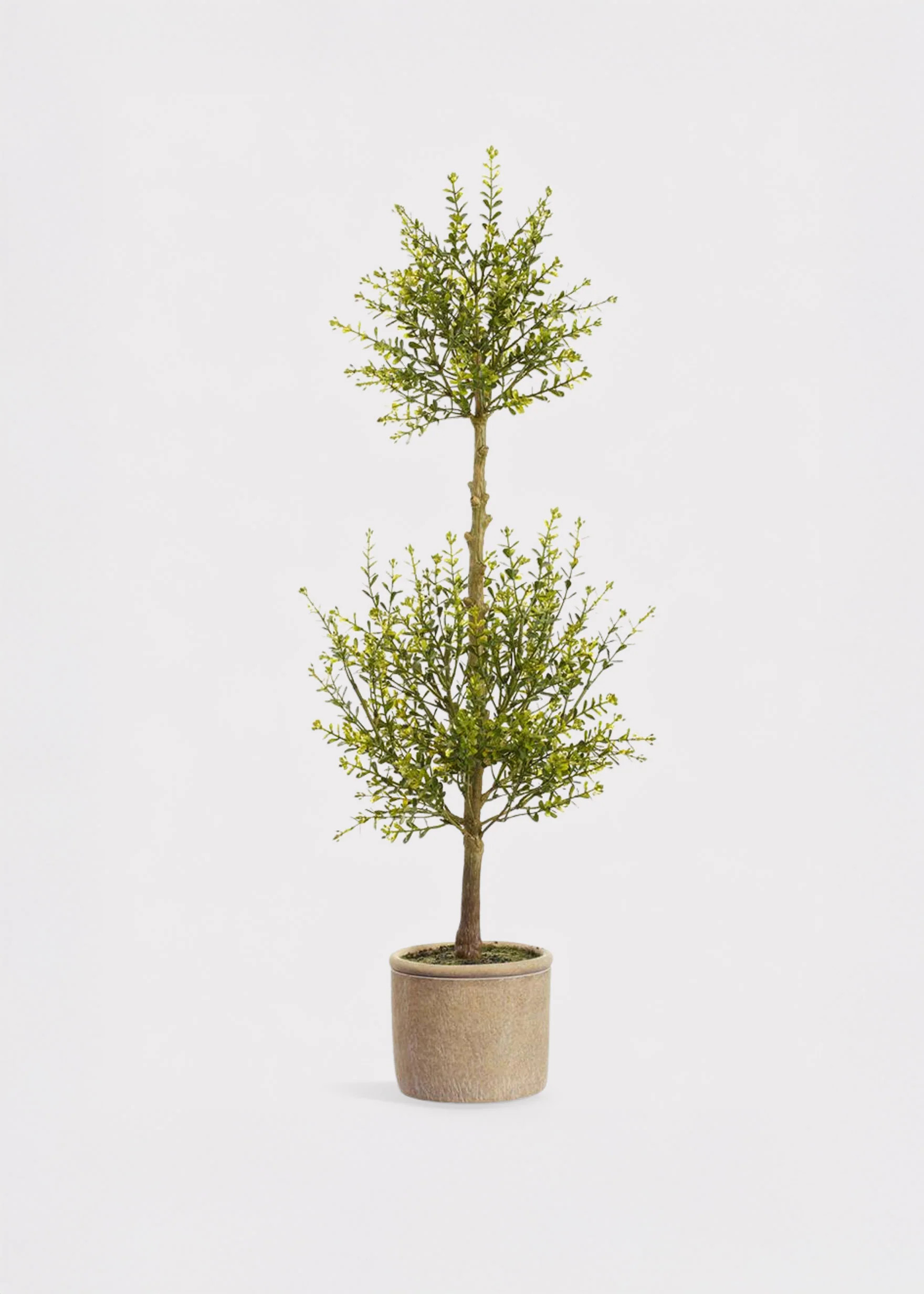 Artificial Topiary in Cement Pot | Fake Potted Plants | Afloral | Afloral