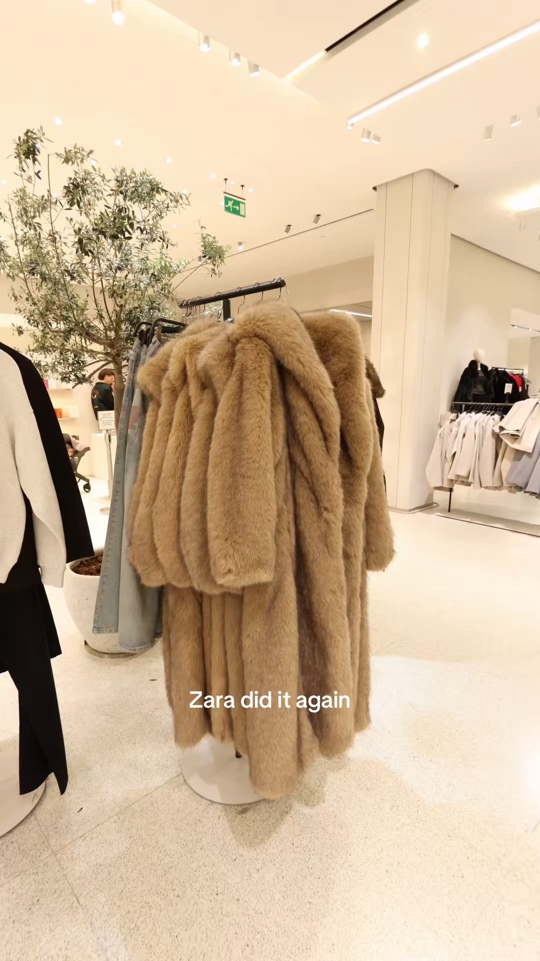 Zara faux fur 

#LTKitalia #LTKeurope #LTKwinter