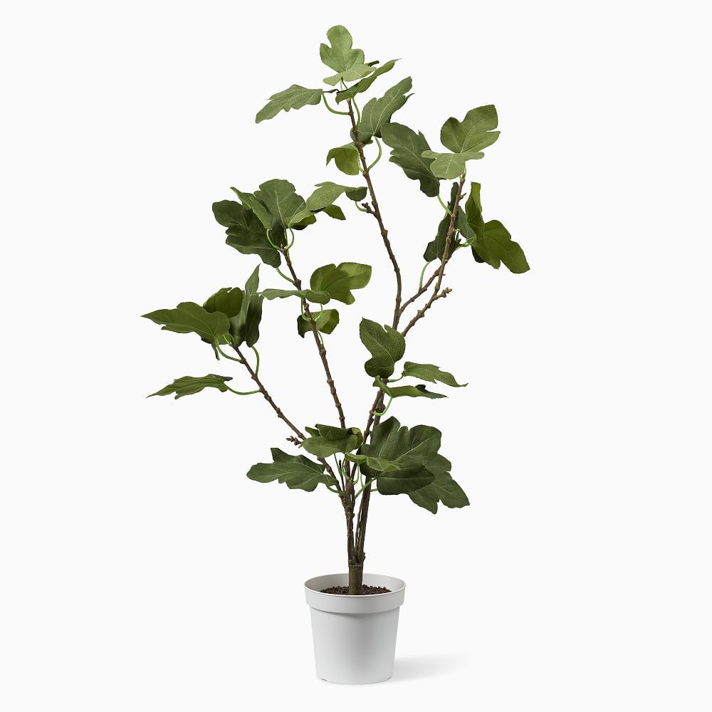 Faux Potted Fig Tree, 60'' | West Elm (US)