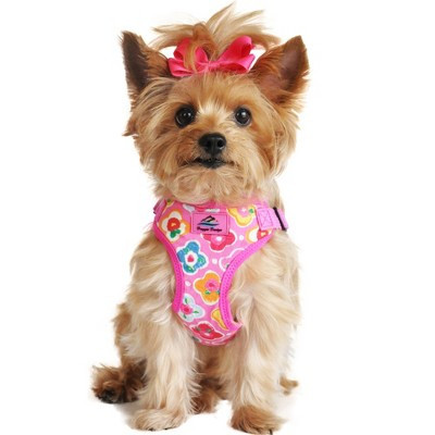 Doggie Design Wrap and Snap Choke Free Dog Harness - Maui Pink(X-Small) | Target
