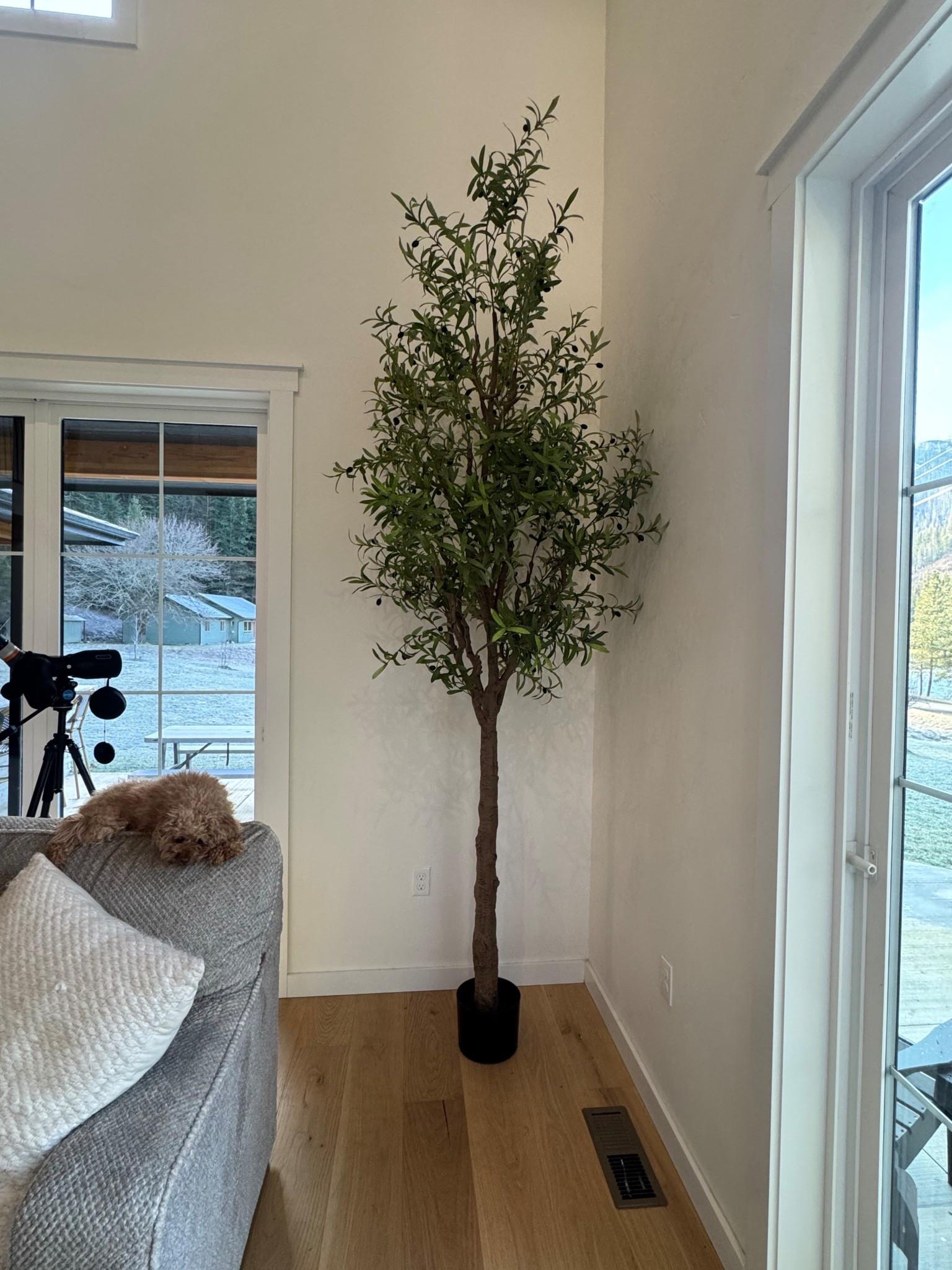 This 10ft olive tree is so good, heavy duty and so realistic. Now I just need a pot or basket for it. 
Faux plant: Amazon 

#LTKHome