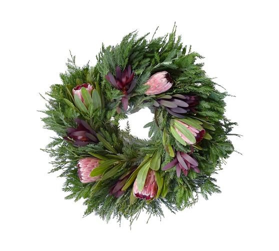 Fresh Redwood Cedar & Sunet Leucadendron - 20" | Pottery Barn (US)