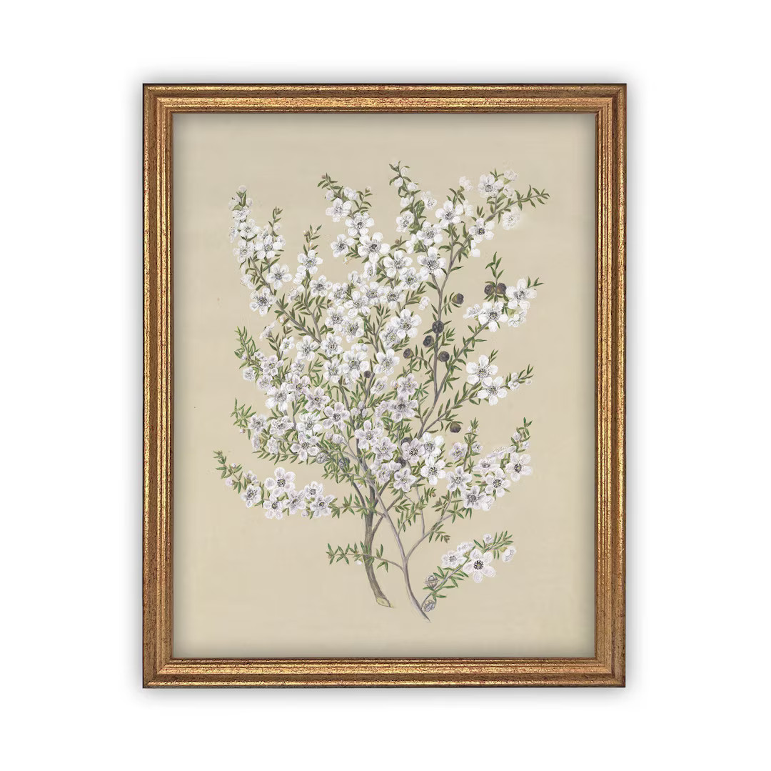 Vintage Framed Canvas Art  // Framed Vintage Print // Vintage Painting // Botanical Sketch // Far... | Etsy (US)