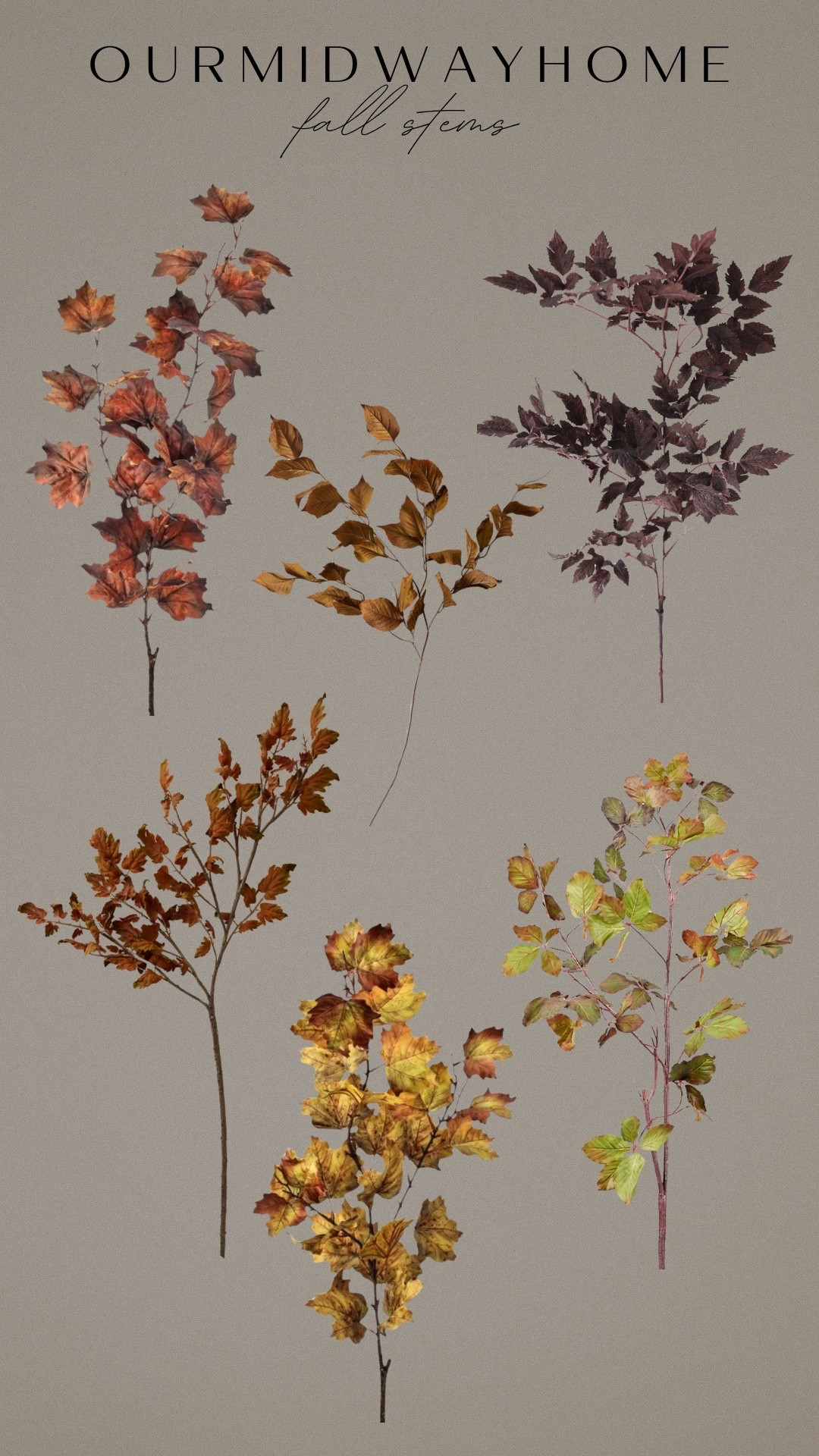 Fall stems I’m loving from last year and will use again this coming season 🍂🍁