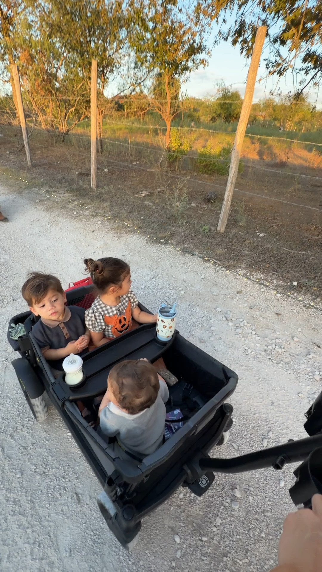 Veer All-Terrain Cruiser XL 4-Seater Stroller Wagon 

Link to our four seater all-terrain veer wagon that is great for gravel outdoors and rugged activities with multiple kids. We use it all the time and love the snack tray. It’s got thick wheels and a storage area folded up in our car and as you can see, sits three toddlers and babies comfortably ages 3, 2, and 9 months old!

#LTKmomlife #LTKKids #LTKTravel