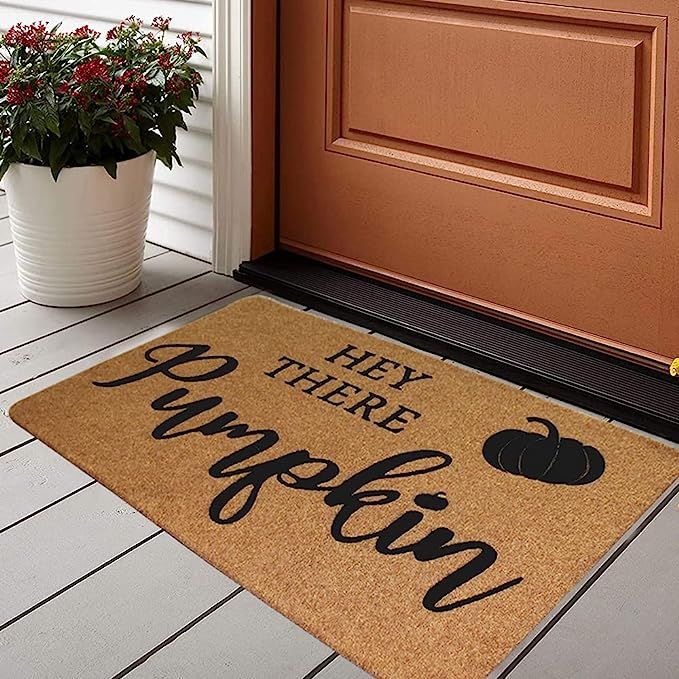 MoharWall Winter Doormat Stain Resistant, Washable Rug for Indoor Outdoor Pumpkins Doormat, High ... | Amazon (US)