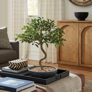 Faux Sculpture Tree | Ballard Designs, Inc.