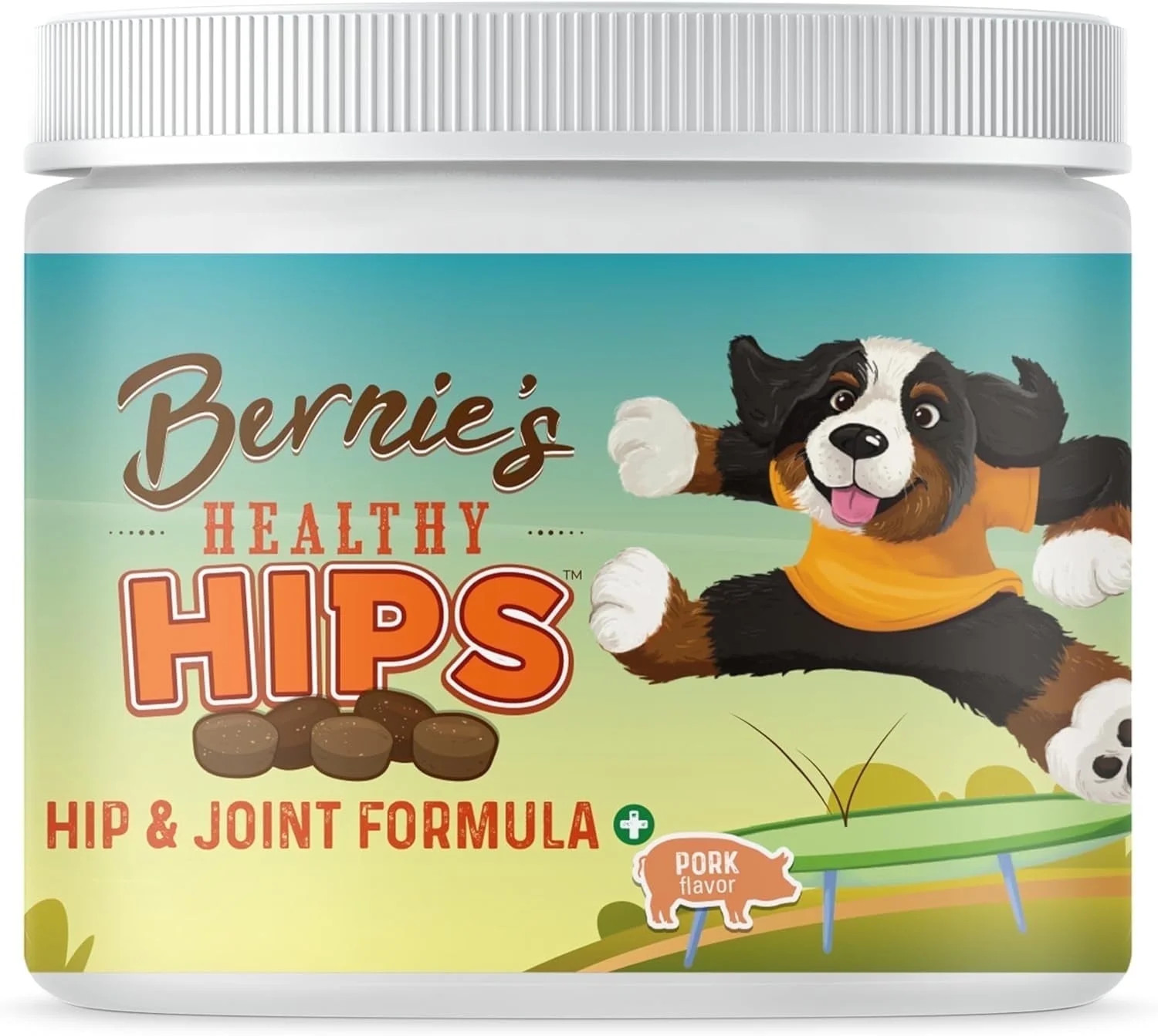 Bernie's Healthy Hips Hip and Joint Supplement Soft Chews for Dogs, Pork Flavor, 90 Count Jar | Walmart (US)