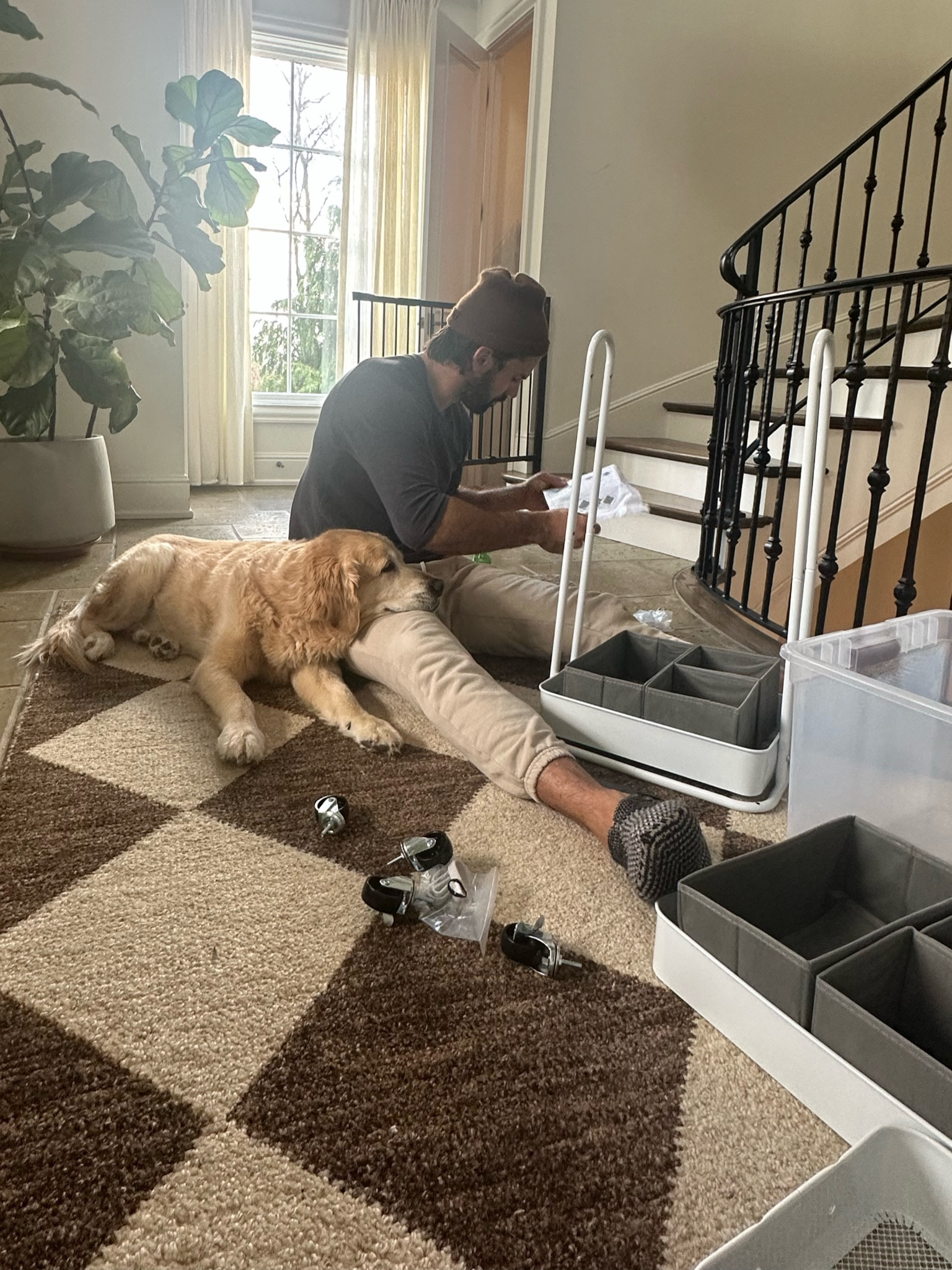 Linking this 3 tier cart from Amazon we just got for baby boy! Got questions about this rug as well, linking simians options too 

#LTKhome #LTKbaby #LTKfamily