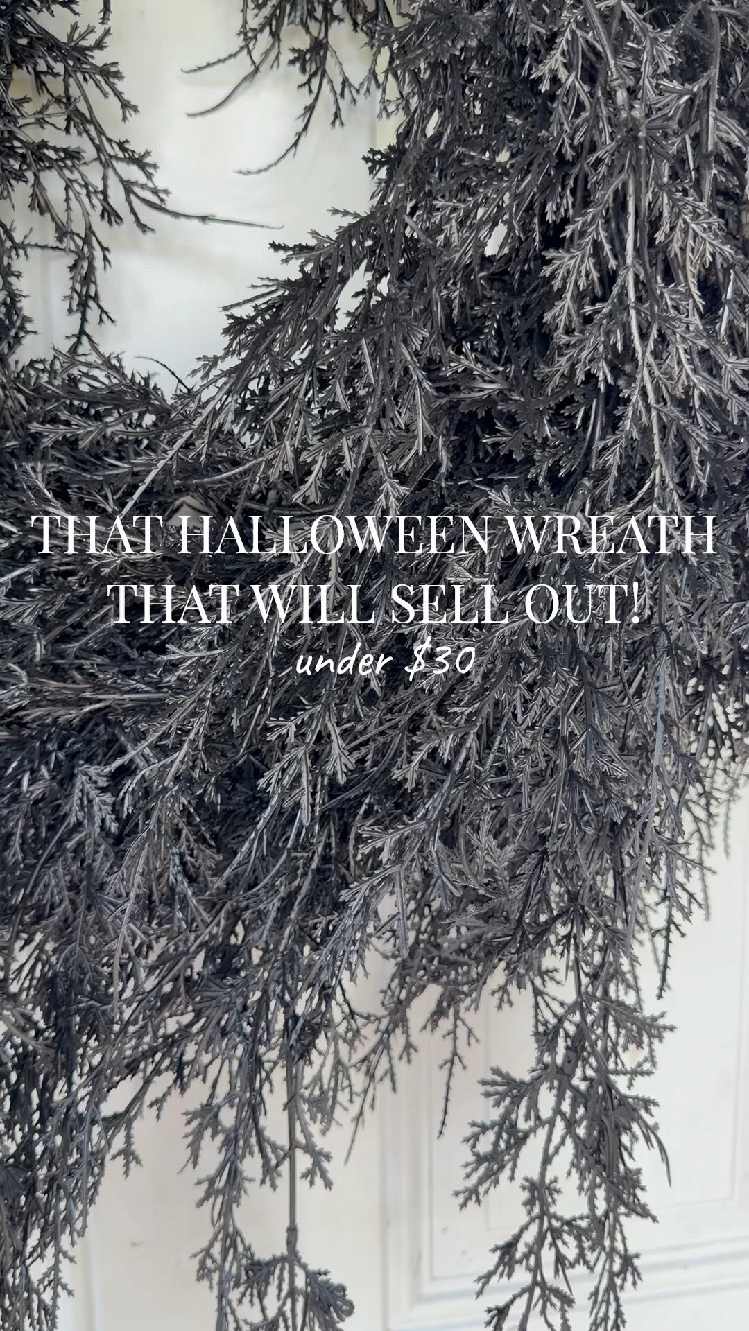 I think I just found THE Halloween wreath that’s going to be completely sold out before Halloween is even here… 👀🖤

UNDER $30 & absolutely GORGEOUS!! My Texas House Halloween Drapey Faux Cedar Wreath, Black

#LTKSeasonal #LTKHome #LTKdayinmylife