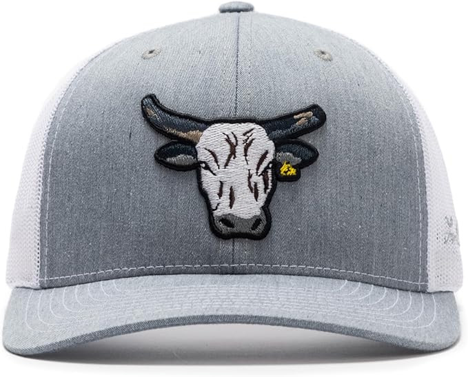 Lane Frost Bully Cap Grey | Amazon (US)