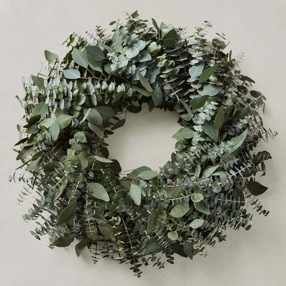 Mixed Eucalyptus Live Wreath | Williams-Sonoma