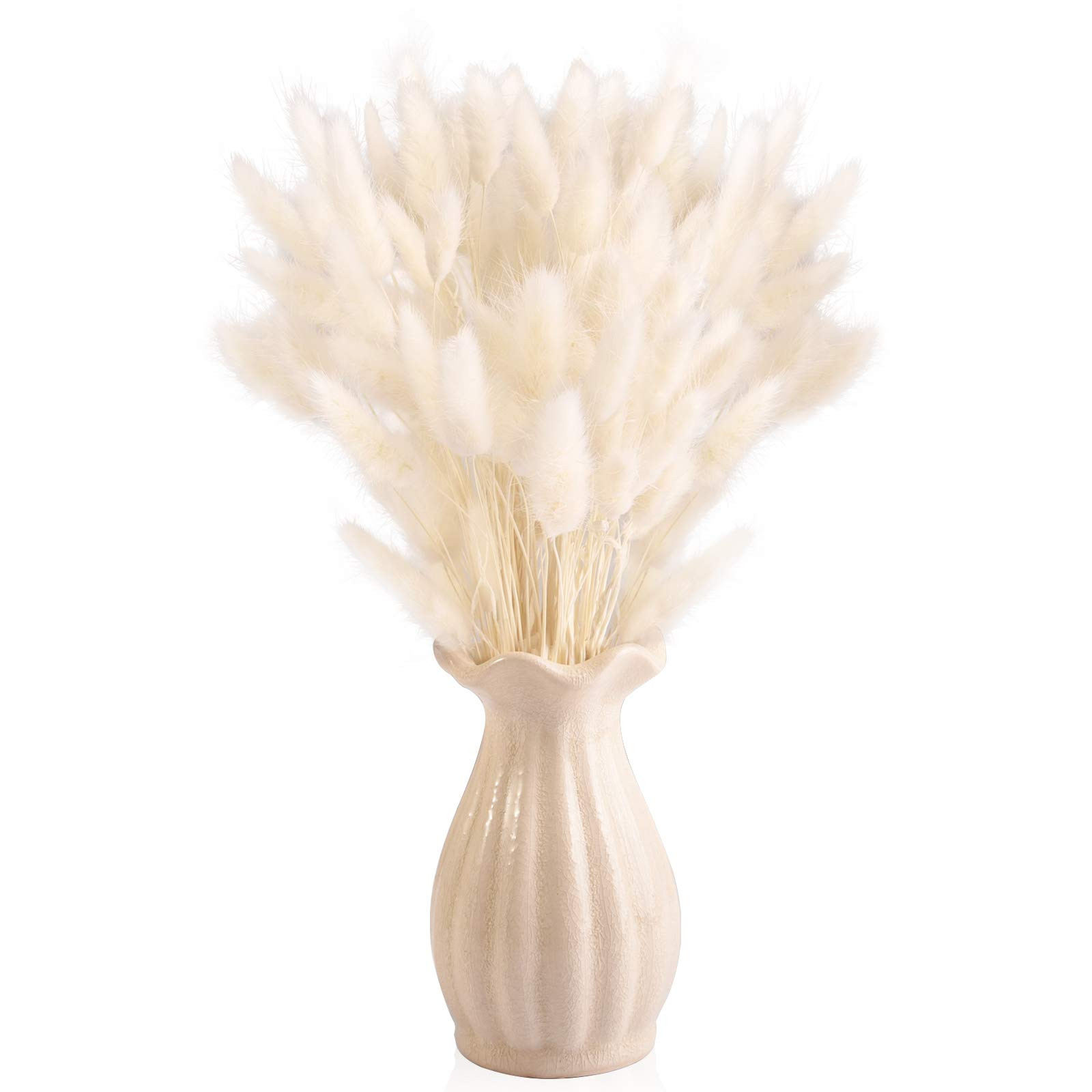 Bunny Tails Pampas | Amazon (US)