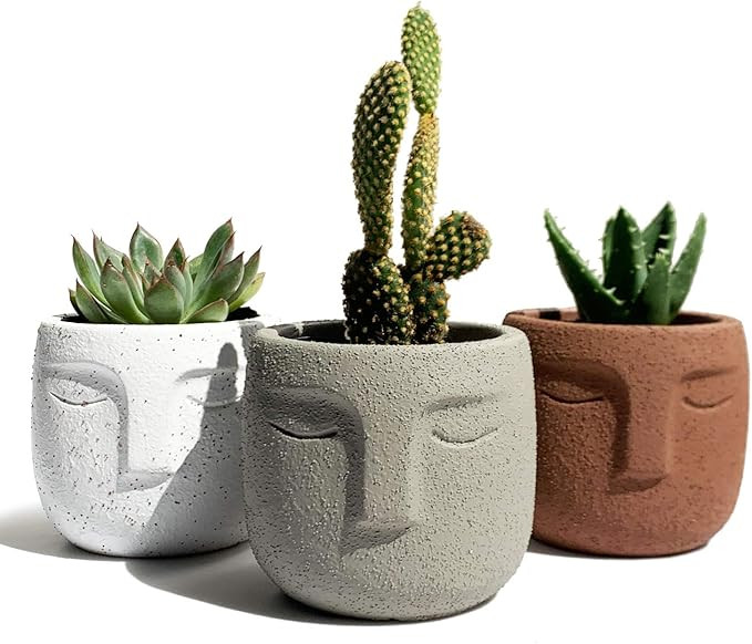 Gepege Indoor Succulent Plants Pot 3 Inch Set of 3, Concrete Head Planter for Home Office Desk De... | Amazon (US)