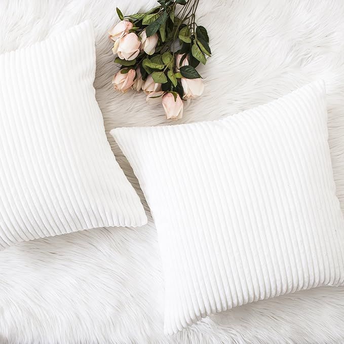 HOME BRILLIANT Decorative Pillow Covers Decor Supersoft Striped Velvet Throw Toss Pillowcase Cush... | Amazon (US)