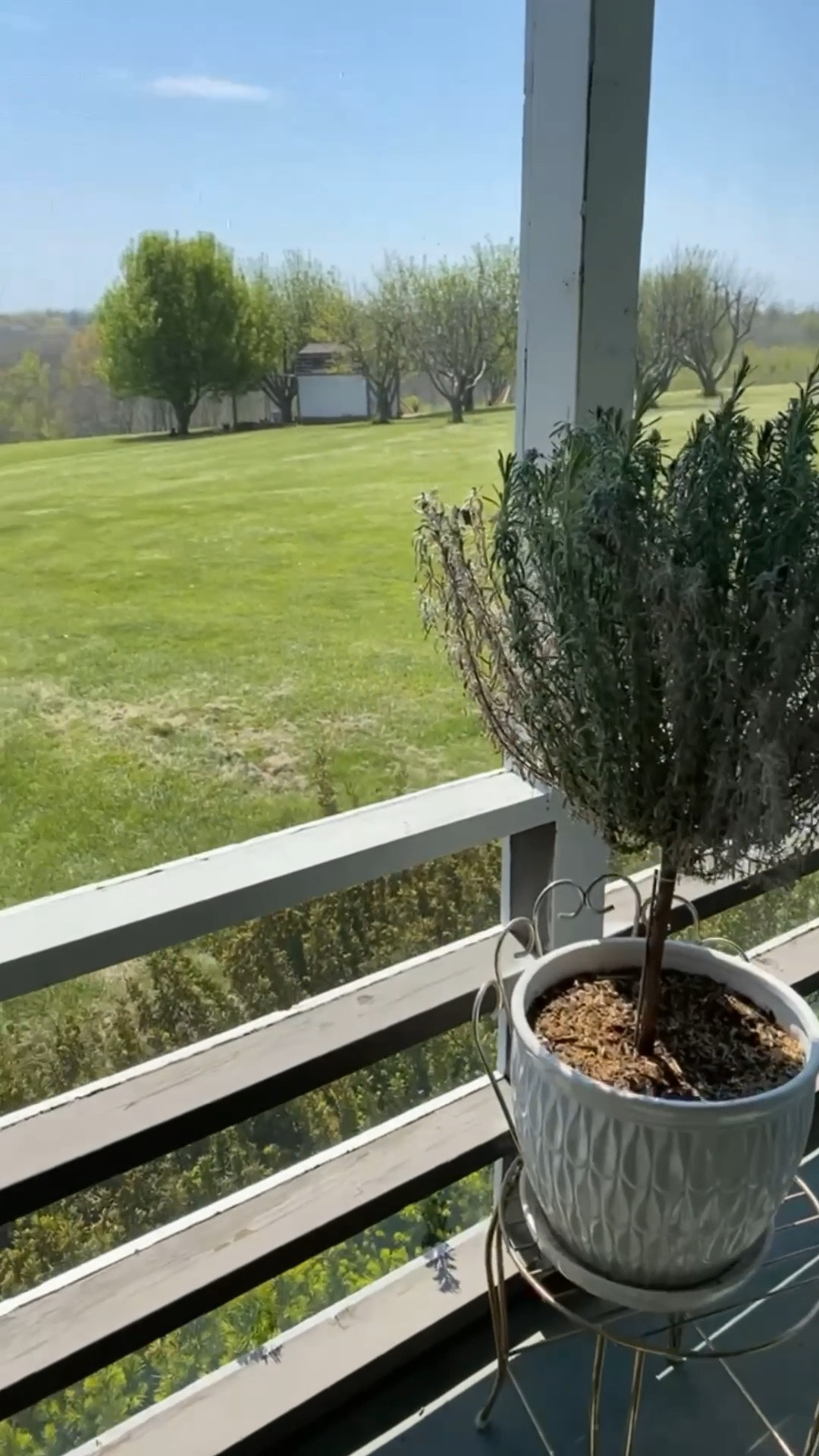 morning coffee views ☕️

#LTKSeasonal #LTKHome #LTKU