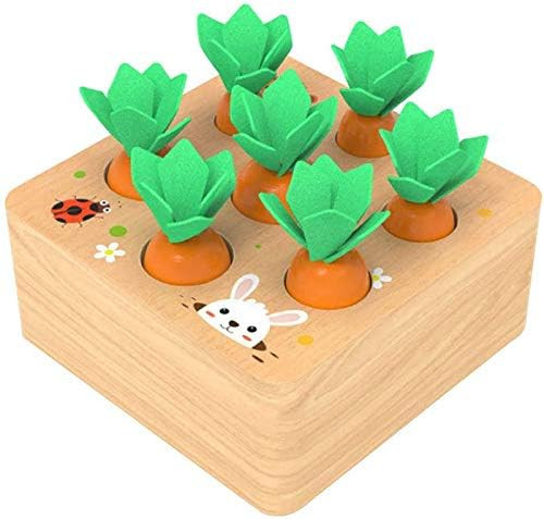 Ancaixin Wooden Toys for 1 Year Old Baby Boys and Girls Montessori Shape Size Sorting Puzzle Carr... | Amazon (US)