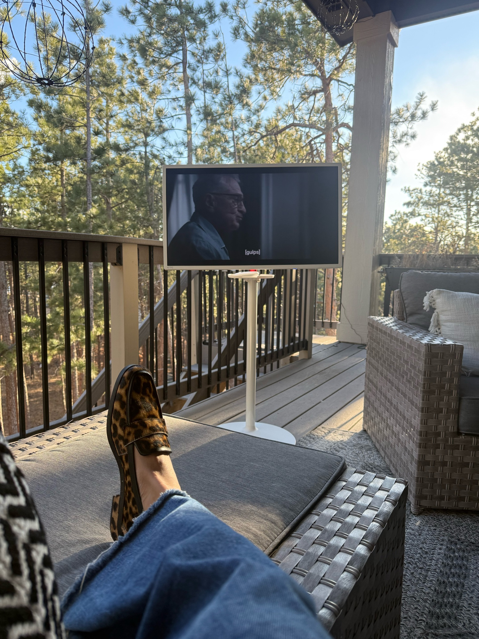 32” Mobile Screen With Stand 

#LTKStyleTip #LTKFamily #LTKHome