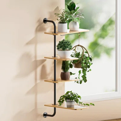 Window Shelf For Plants, 4 Tier Rotating Window Sill Plant Shelves Stand Plant Wall Holder With Hanger | Wayfair North America