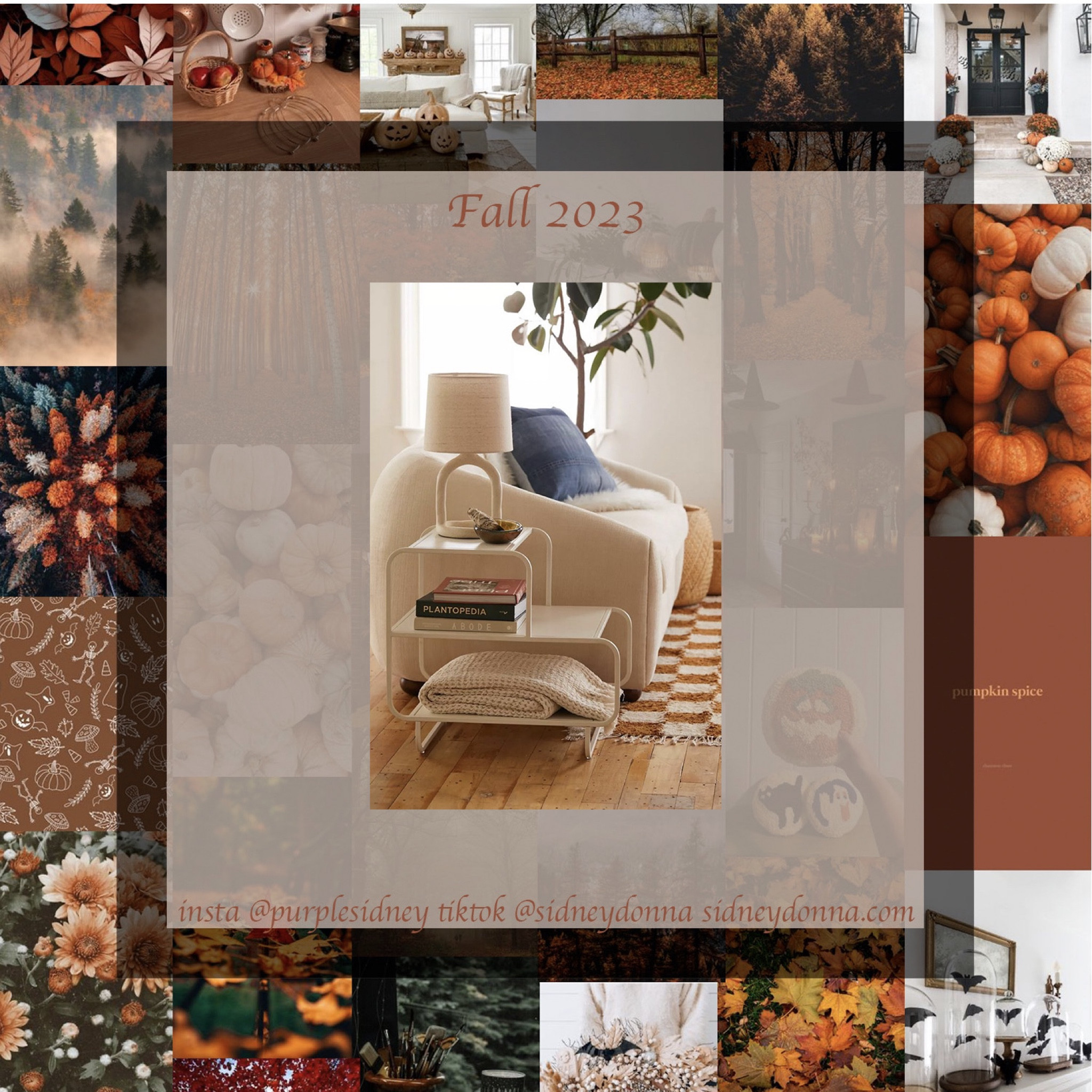 2023 Fall Fashion and Home Decor 

Urban Outfitters 

Instagram @purplesidney
TikTok @sidneydonna
Sidneydonna.com

#LTKSeasonal #LTKGiftGuide #LTKhome