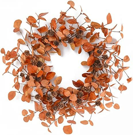 YNYLCHMX Fall Wreath for Front Door Outside 18” Red Autumn Wreath Pinecones Thanksgiving Fall F... | Amazon (US)
