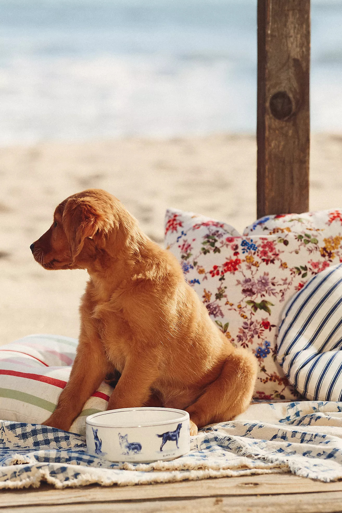 Molly Hatch Stoneware Pet Bowl | Anthropologie (US)