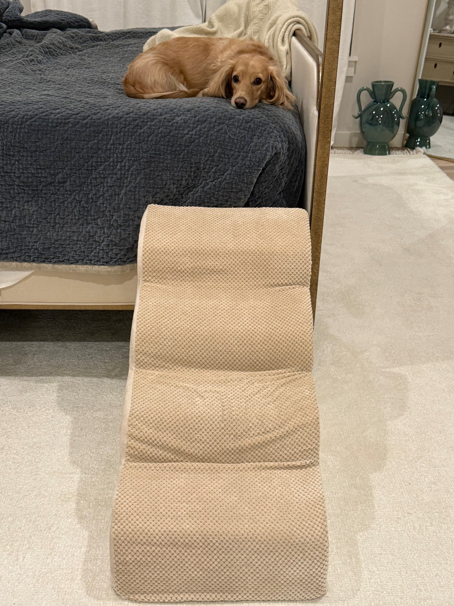 I have been getting lots of questions about Winnie’s stairs! Here ya go 🫶🏼

#LTKdayinmylife #LTKGiftGuide #LTKHoliday