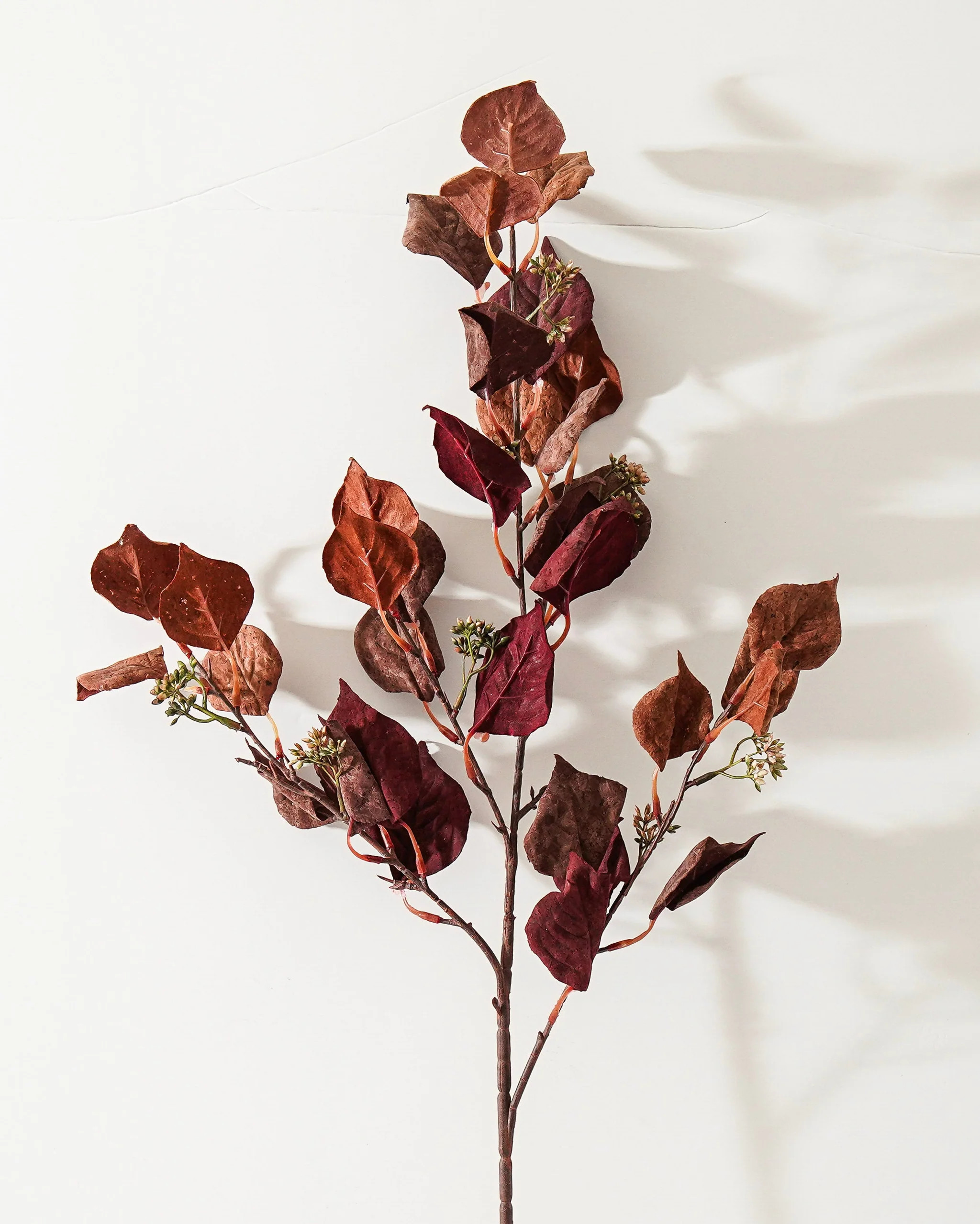 Burgundy Silver Dollar Eucalyptus Stem | MJHome