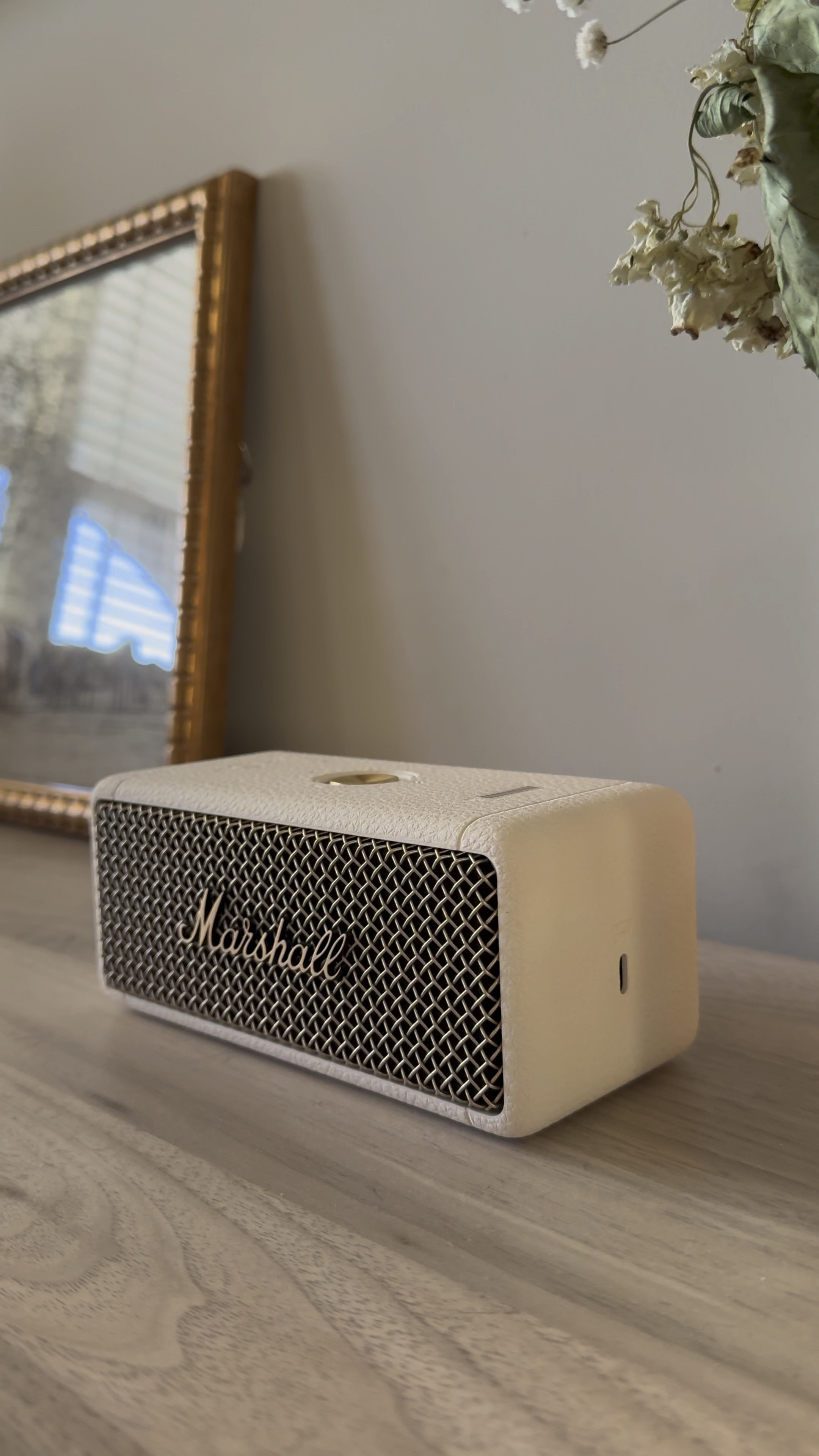 The best aesthetic speaker 🫶🏼



#LTKGiftGuide #LTKMostLoved #LTKhome