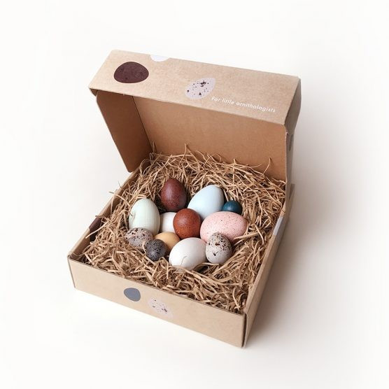 Moon Picnic A Dozen Bird Eggs in a Box | The Tot