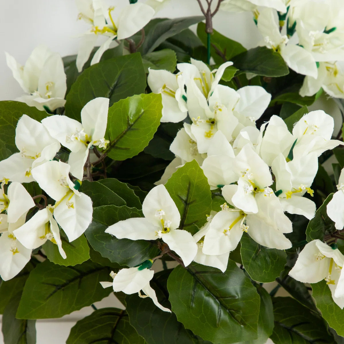 ByBay Isle Home™ | Wayfair North America