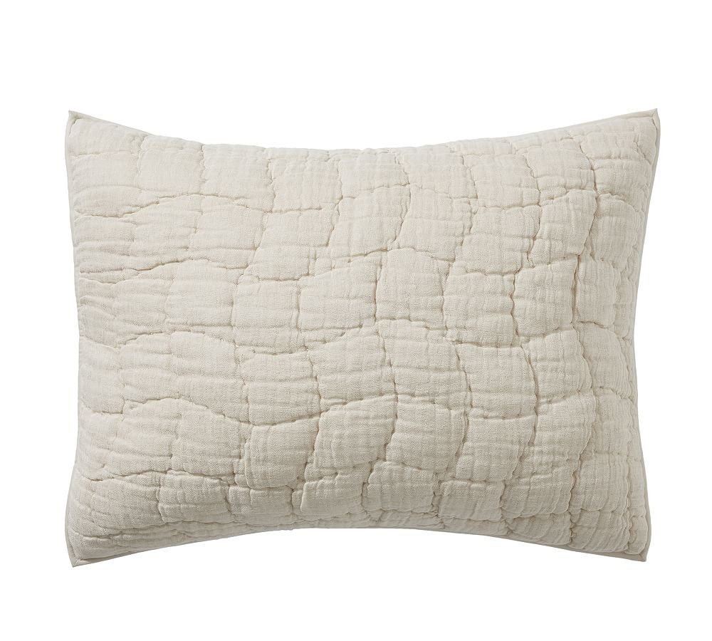 Cloud Quilted Sham | Pottery Barn (US)