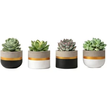 Golden Home Mini Cement Succulent Planter Modern Tiny Concrete Cactus Plant Pots Small Clay Indoor H | Walmart (US)