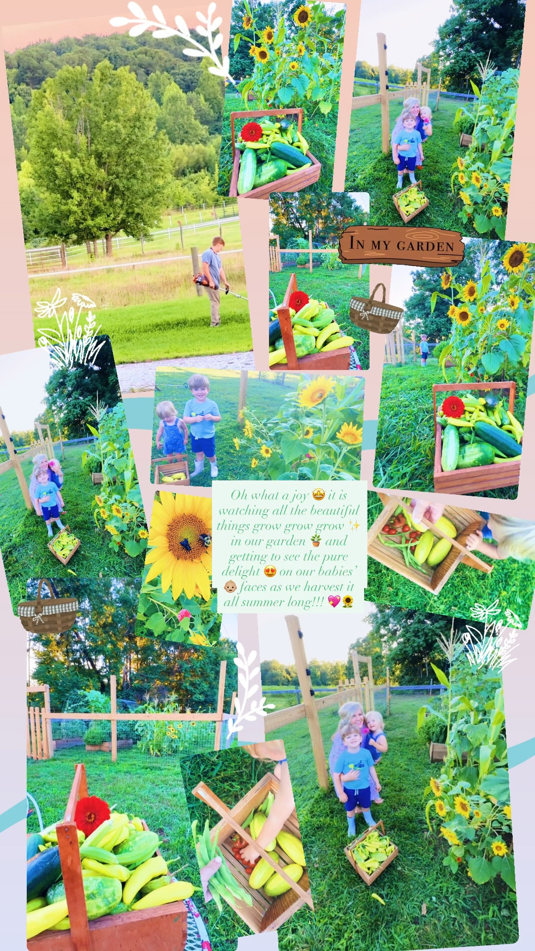 Oh what a joy 🤩 it is watching all the beautiful things grow grow grow ✨ in our garden 🪴 and getting to see the pure delight 😍 on our babies’ 👶🏼 faces as we harvest it all summer long!!! 💖🌻